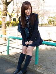Sakura Miyuki